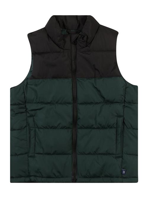 GAP Vest  grøn / sort