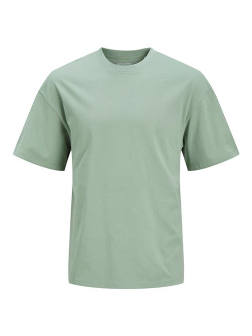 JACK & JONES Bluser & t-shirts 'JJEBRADLEY'  mint