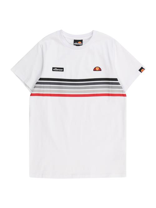 ELLESSE Shirts 'Marsella'  grå / rød / sort / hvid