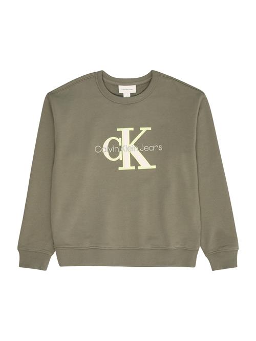 Calvin Klein Jeans Sweatshirt  grøn / æble / hvid