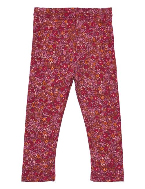 Müsli by Green Cotton Petit Blossom Leggings Baby Müsli By Green Cotton Red