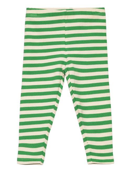 The New Tnsfinn Rib Leggings The New Green