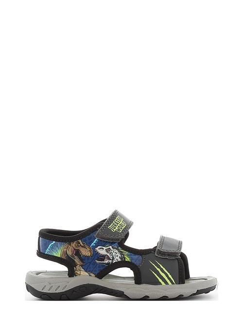 Leomil Jurrasic Sandal Leomil Grey