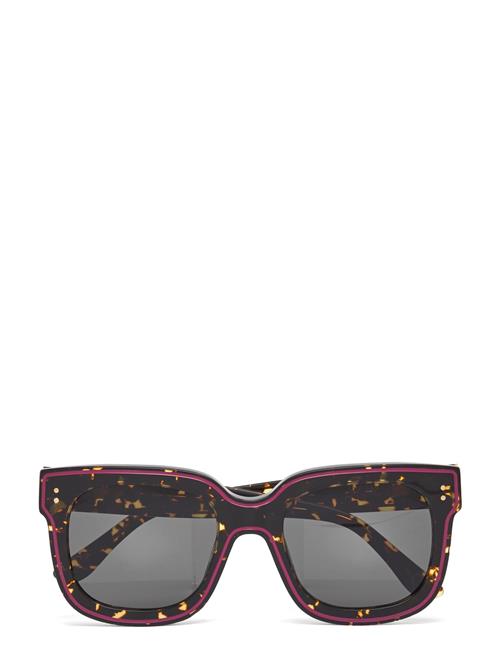 Li River Maculato Marni Sunglasses Brown