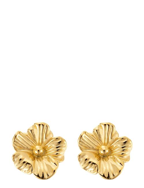 By Jolima Daisy Earring By Jolima Gold