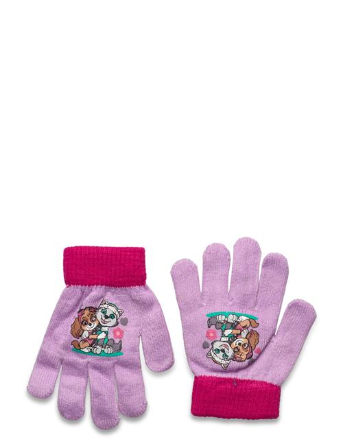 Se Paw Patrol Glovers Paw Patrol Patterned ved Booztlet