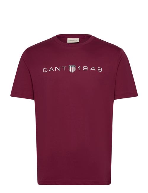 Se GANT Printed Graphic Ss T-Shirt GANT Burgundy ved Booztlet