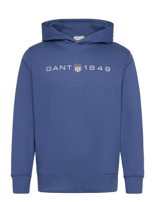 Se GANT Printed Graphic Hoodie GANT Blue ved Booztlet