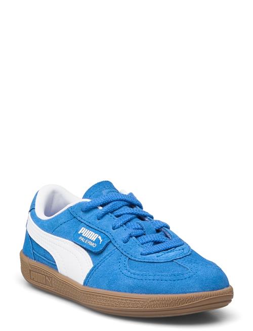 PUMA Palermo Ps PUMA Blue