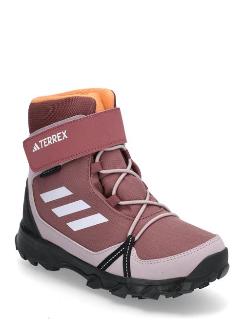 Terrex Snow Cf R.rdy K Adidas Terrex Purple