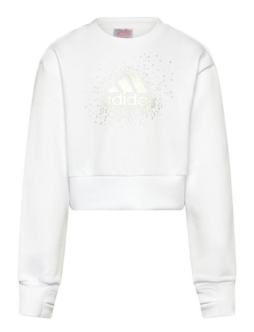 Jg Glm Crew Adidas Sportswear White