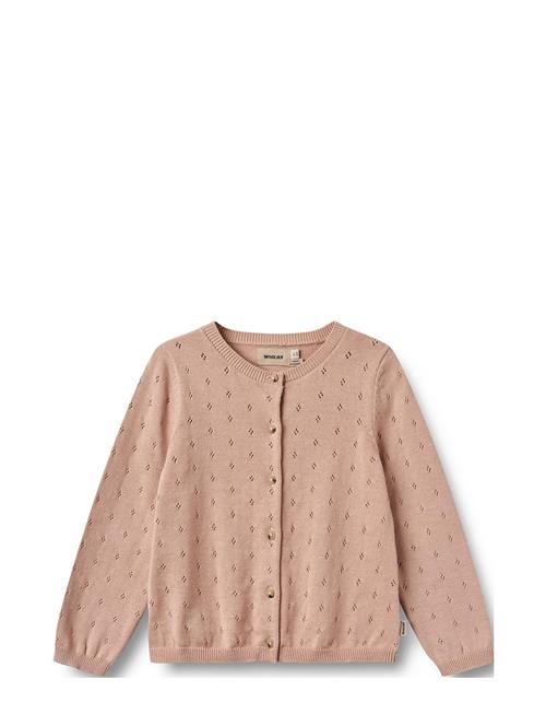 Wheat Knit Cardigan Maia Wheat Pink