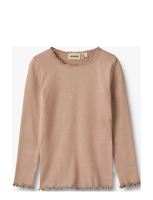 Wheat Rib T-Shirt L/S Reese Wheat Beige