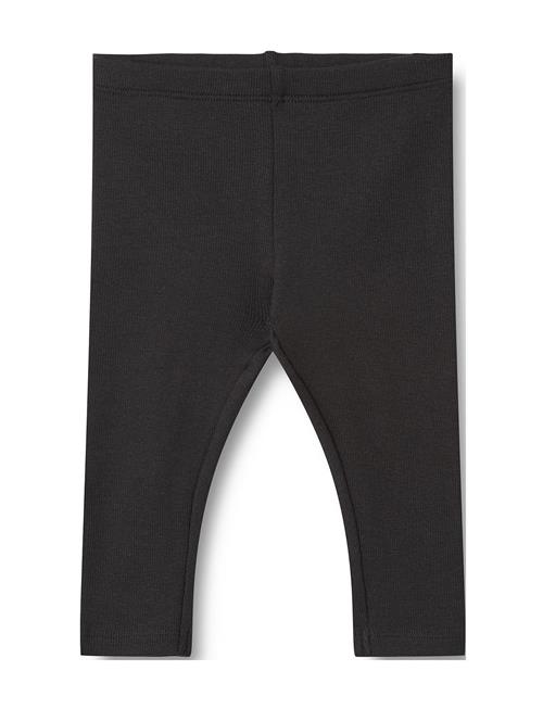 Rib Leggings Maddy Wheat Black