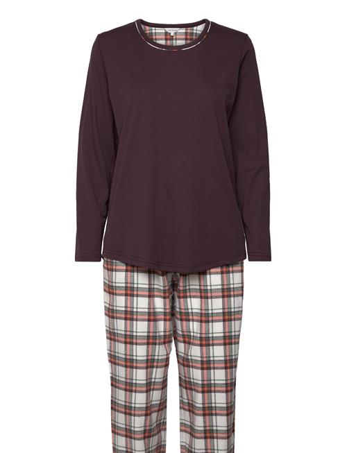 Cotton Flannel Pyjamas Lady Avenue Burgundy