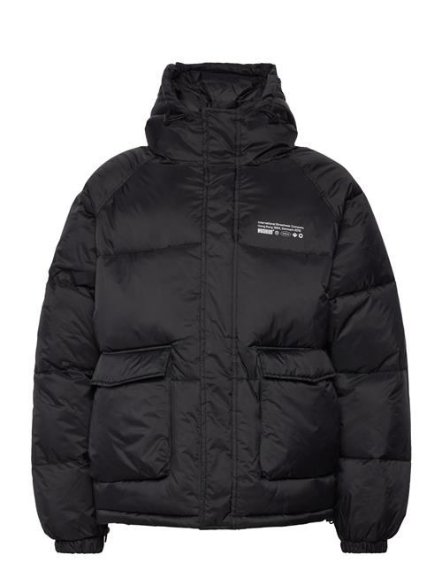 Wbzumo Bomber Jacket Woodbird Black