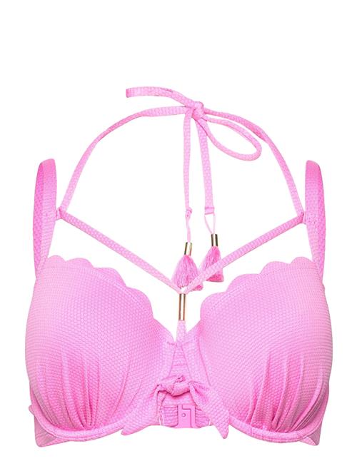 Hunkemöller Scallop Pd Hunkemöller Pink