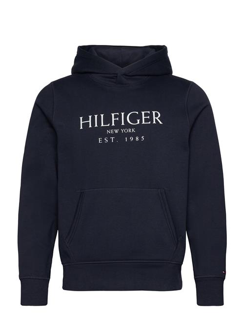 Big Hilfiger Hoody Tommy Hilfiger Navy