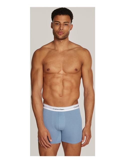 Boxer Brief 3Pk Calvin Klein Grey