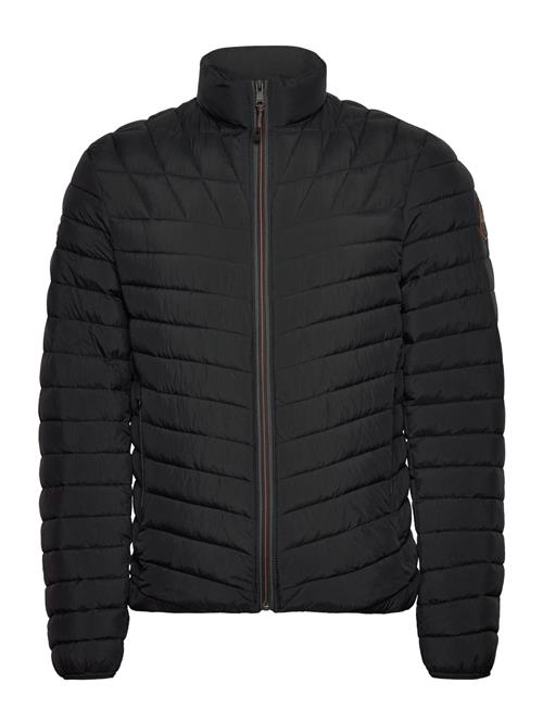 Lapaz Puffer Jacket Napapijri Black