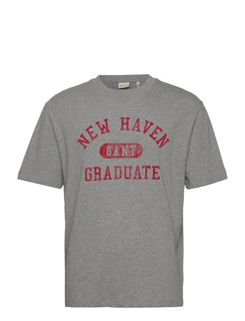 GANT Graphic T-Shirt GANT Grey