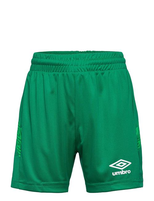 Umbro Liga Shorts Jr Umbro Green