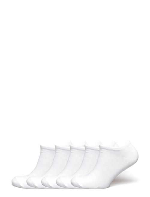 5-Pk Tennis Footies ZEBDIA White