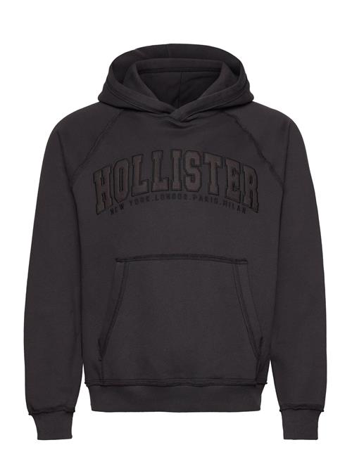 Hollister Hco. Guys Sweatshirts Hollister Brown