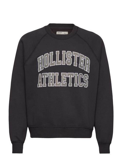 Hco. Guys Sweatshirts Hollister Black