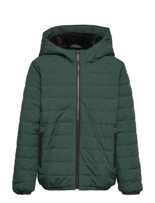 Abercrombie & Fitch Kids Boys Outerwear Abercrombie & Fitch Green