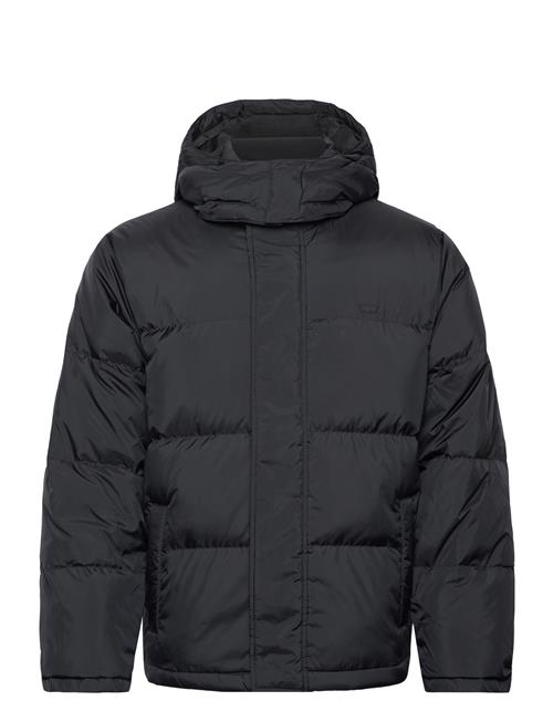 LEVI´S Men Laurel Short Puffer Jet Black LEVI´S Men Black