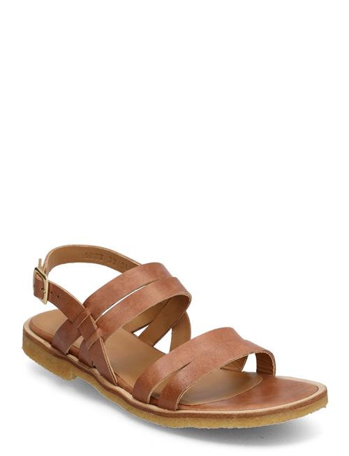 ANGULUS Sandals - Flat - Open Toe - Op ANGULUS Brown