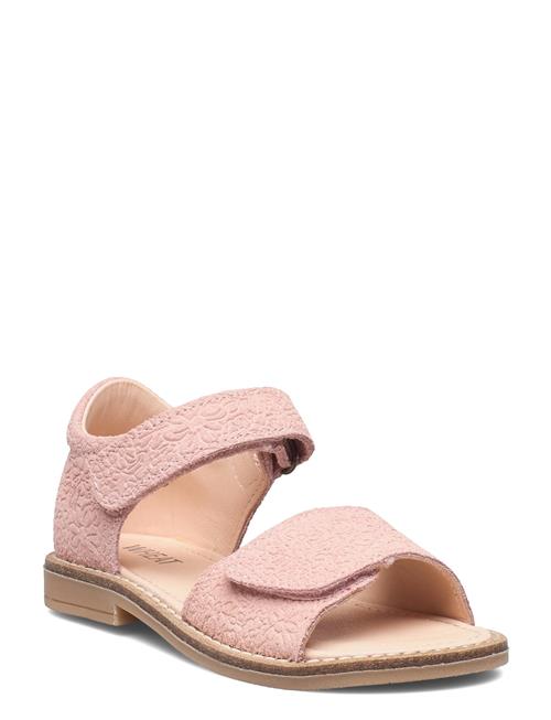 Wheat Tasha Sandal Wheat Pink