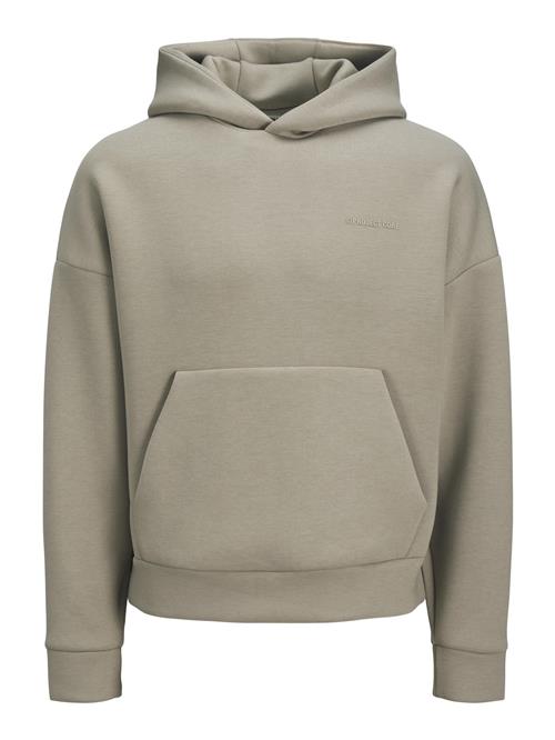 JACK & JONES Sweatshirt  taupe