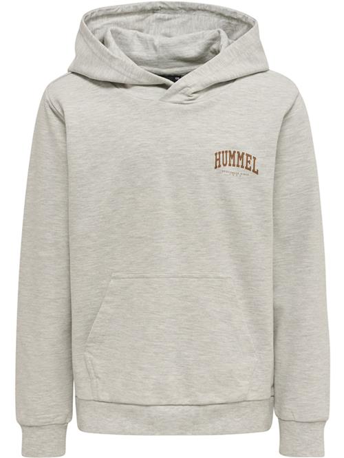 Hummel Sweatshirt  brun / grå-meleret