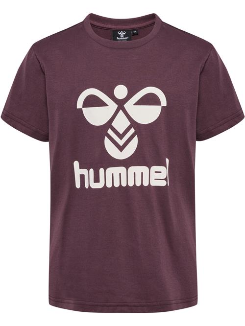 Hummel Shirts 'TRES'  bær / hvid