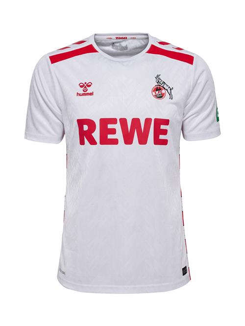 Hummel Fodboldtrøje '1. FC Köln 24/25'  rød / sort / hvid