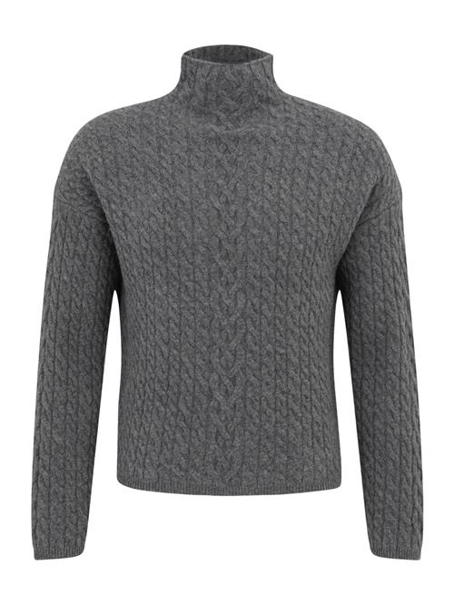 Calvin Klein Pullover  grå / mørkegrå