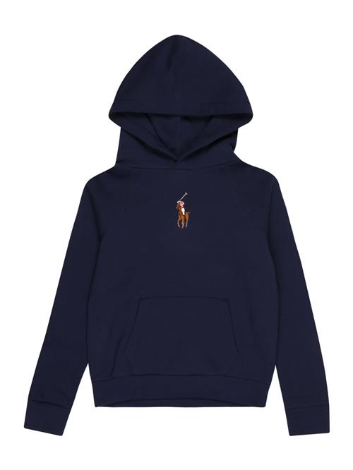 Polo Ralph Lauren Sweatshirt  mørkeblå / brun