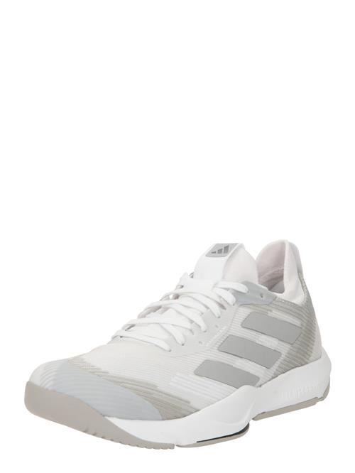 ADIDAS PERFORMANCE Sportssko 'Rapidmove Adv Trainer'  grå / røggrå / offwhite