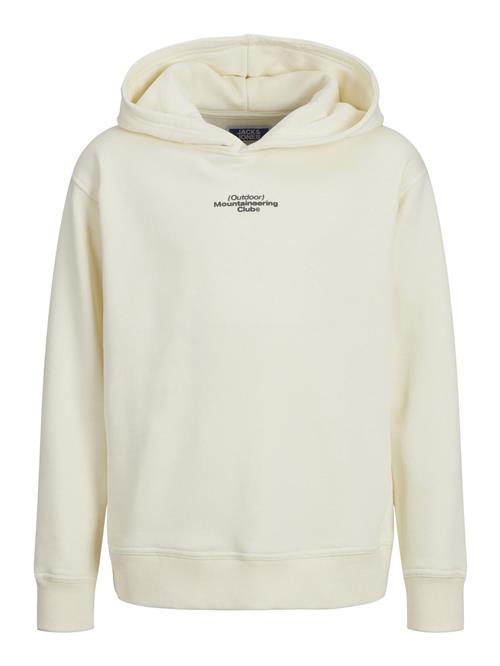 Jack & Jones Junior Sweatshirt  ecru / blandingsfarvet