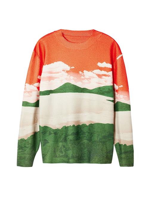 Desigual Pullover  blandingsfarvet / orange