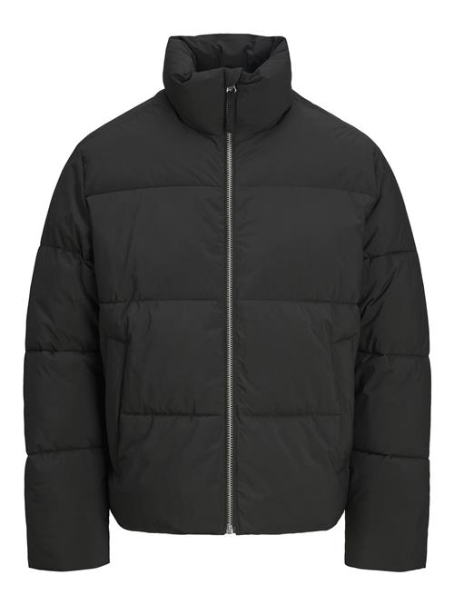 JACK & JONES Overgangsjakke  sort