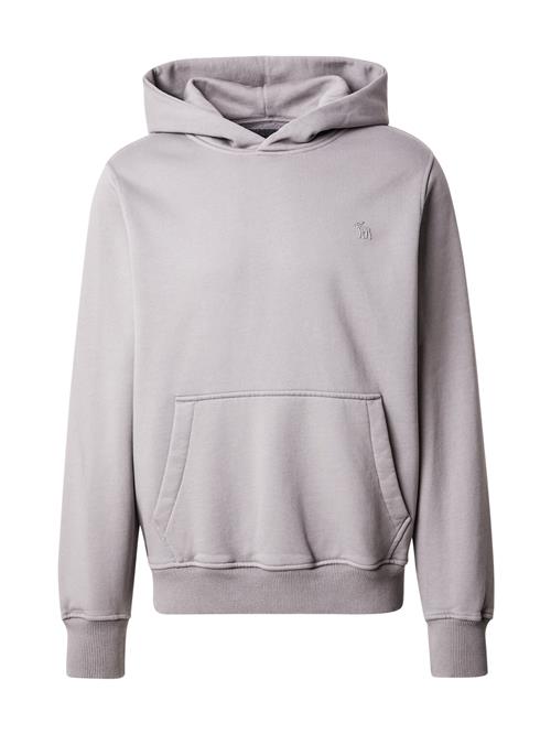 Abercrombie & Fitch Sweatshirt  grå