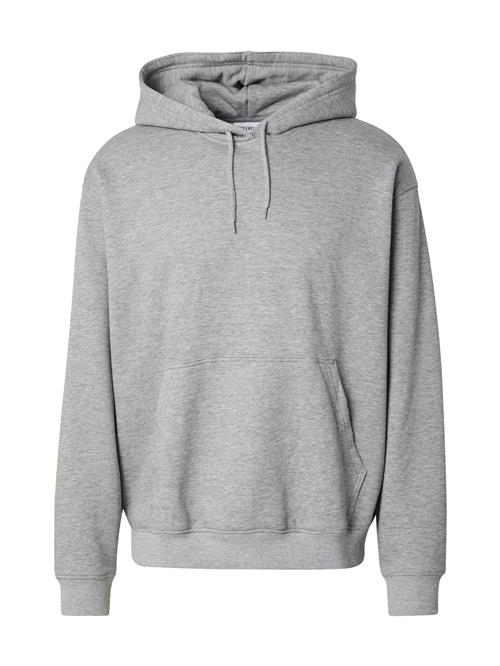 WEEKDAY Sweatshirt  lysegrå