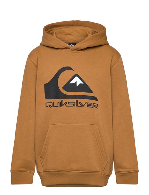 Quiksilver Big Logo Hoodie Youth Quiksilver Brown