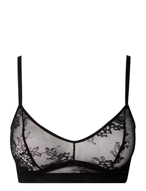 Understatement Underwear Lace Balc Tte Understatement Underwear Black