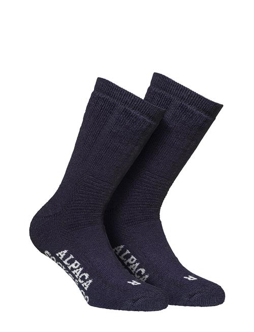 Alpacasocks&Co Alpacasocks 2-Pack Alpacasocks&Co Blue