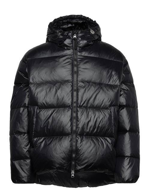 Over D Shiny Down Puffer Jacket GANT Black