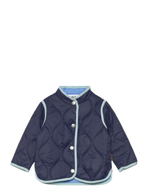 Harrie Molo Navy